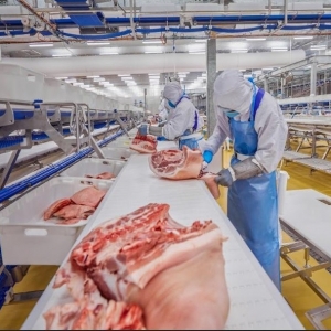 Quy trình sản xuất thịt ủ mát an toàn, truy xuất được nguồn gốc