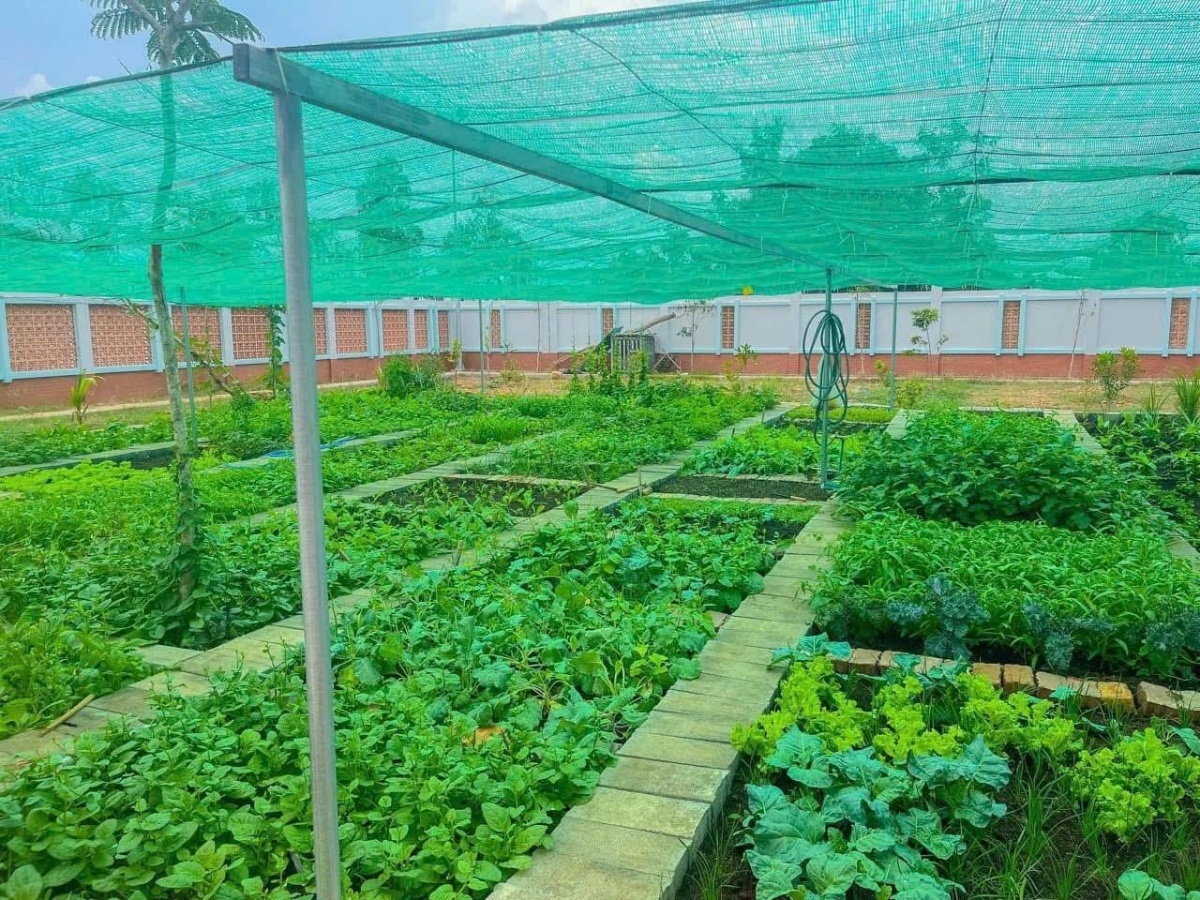 Công đoàn – hạt nhân kiến tạo môi trường xanh