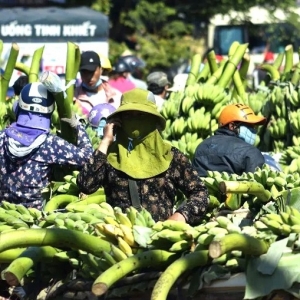Phải truy trách nhiệm “chợ trên quốc lộ”