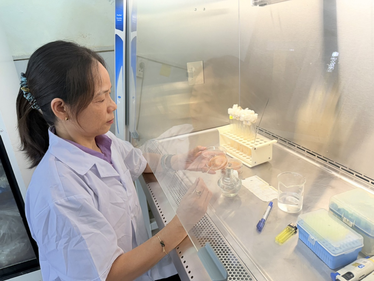 PGS.TS Nguyễn Thị Minh: Người gieo mầm tri thức, giữ lửa yêu thương PGS.TS Nguyễn Thị Minh: Người gieo mầm tri thức, giữ lửa yêu thương