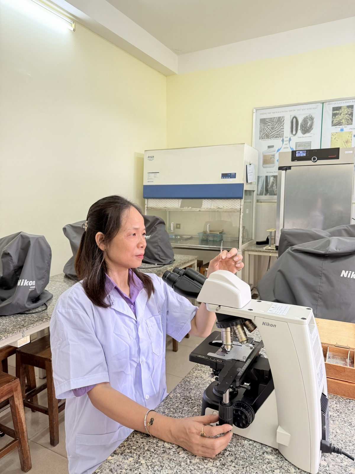 PGS.TS Nguyễn Thị Minh: Người gieo mầm tri thức, giữ lửa yêu thương PGS.TS Nguyễn Thị Minh: Người gieo mầm tri thức, giữ lửa yêu thương