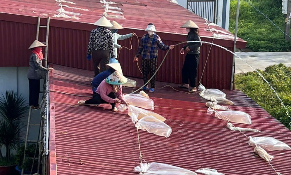 Phụ nữ và trẻ em gái trước thách thức khí hậu Phụ nữ và trẻ em gái trước thách thức khí hậu