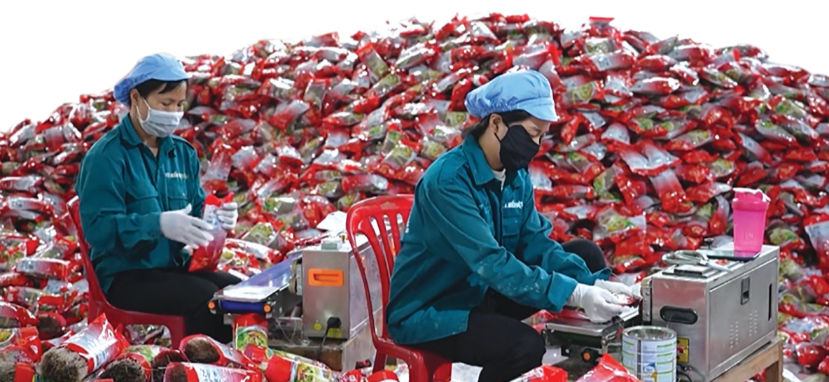 Chính sách mở đường, giúp người dân vững bước thoát nghèo