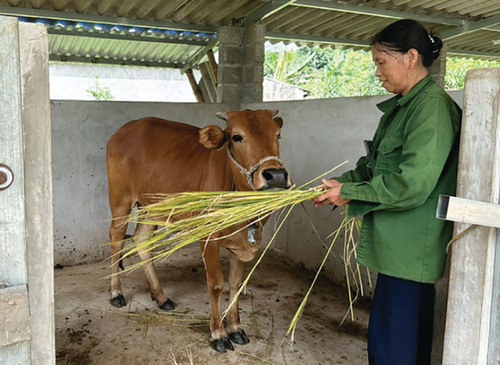 Chính sách mở đường, giúp người dân vững bước thoát nghèo