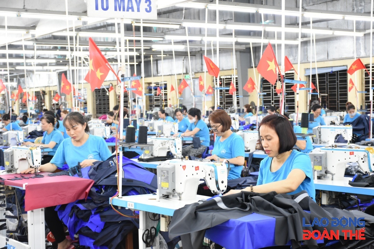 Doanh nghiệp trả lương người lao động thấp hơn lương tối thiểu vùng có thể bị phạt tới 150 triệu đồng Doanh nghiệp trả lương người lao động thấp hơn lương tối thiểu vùng có thể bị phạt tới 150 triệu đồng