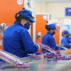 Trình tự đăng ký lao động với người đang có việc làm, không tham gia bảo hiểm bắt buộc