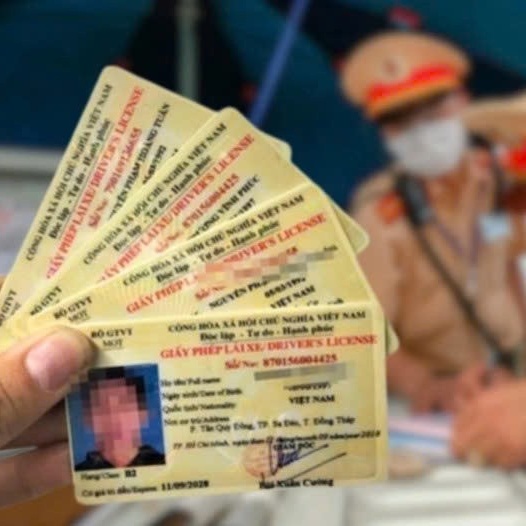 Giấy phép lái xe: Điều kiện tiên quyết để bảo hiểm bắt buộc TNDS phát huy hiệu lực khi xảy ra tai nạn