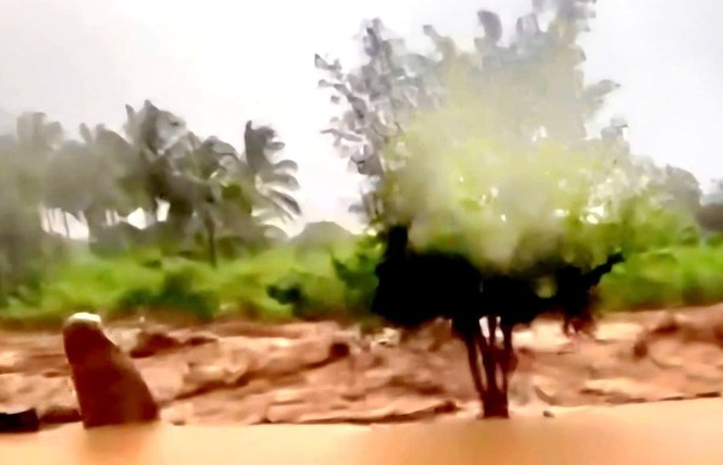 Nước sinh hoạt – đất sản xuất: Những nhu cầu cấp thiết ở Lâm Sơn (Khánh Hòa)