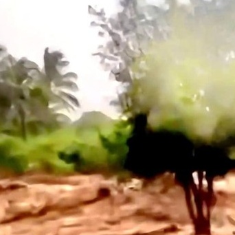 Nước sinh hoạt – đất sản xuất: Những nhu cầu cấp thiết ở Lâm Sơn (Khánh Hòa)