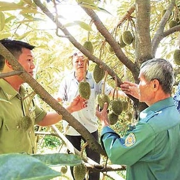 Giảm nghèo không để ai bị bỏ lại phía sau: Chuyển động từ miền núi Khánh Hòa