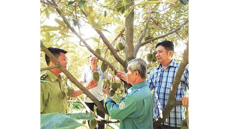 Giảm nghèo không để ai bị bỏ lại phía sau: Chuyển động từ miền núi Khánh Hòa