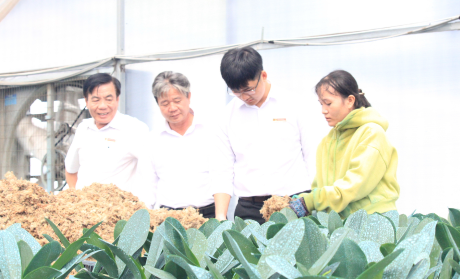 Giảm nghèo không để ai bị bỏ lại phía sau: Chuyển động từ miền núi Khánh Hòa