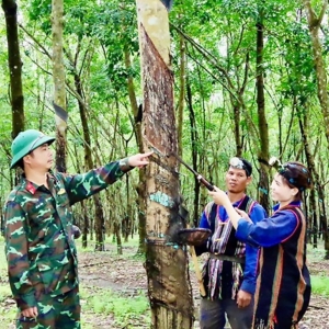 Xây dựng cán bộ công đoàn “3 giỏi, 4 tốt” trong quân đội