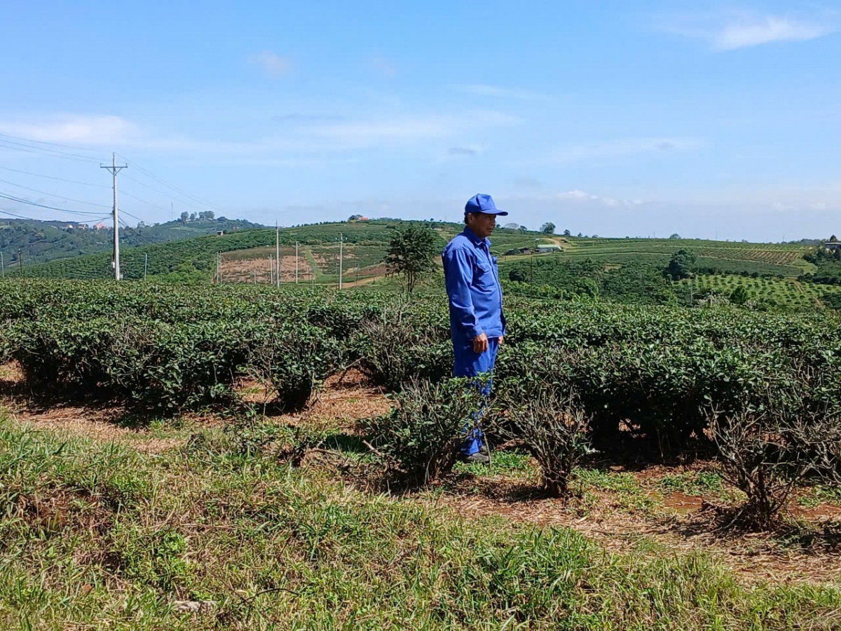 Mạch ngầm cao nguyên - Bài 2: Giữ trọn sắc, hương kết tinh từ đất lành