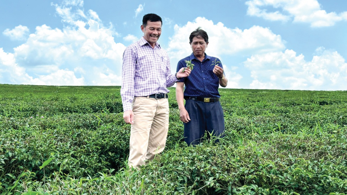 Mạch ngầm cao nguyên - Bài 2: Giữ trọn sắc, hương kết tinh từ đất lành