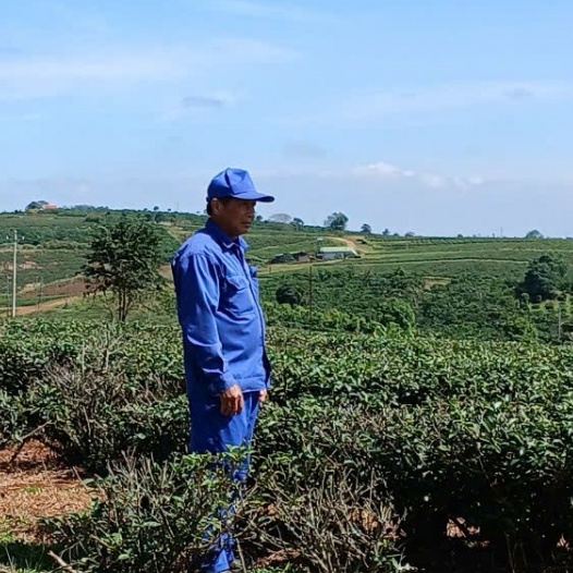 Mạch ngầm cao nguyên - Bài 2: Giữ trọn sắc, hương kết tinh từ đất lành