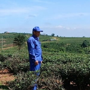 Mạch ngầm cao nguyên - Bài 2: Giữ trọn sắc, hương kết tinh từ đất lành