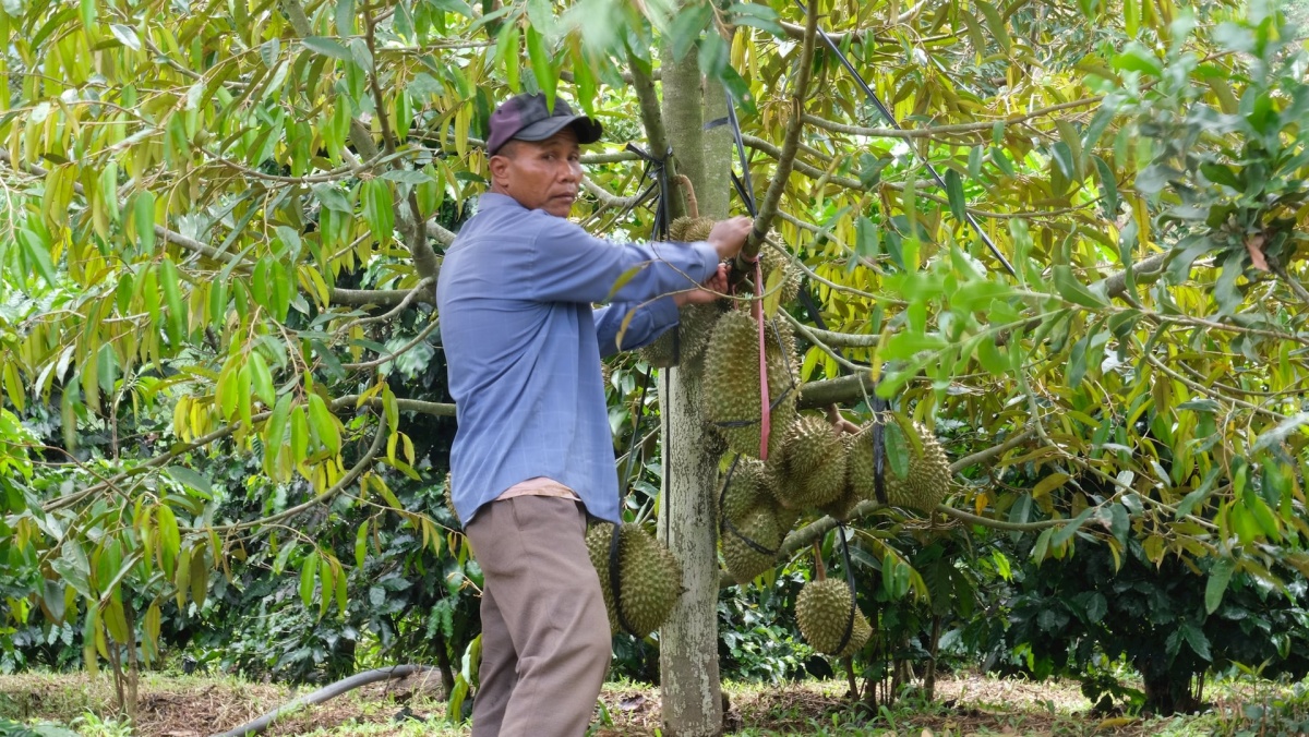 Mạch ngầm cao nguyên – Bài 3: Gác lại nỗi niềm riêng, chung sức cùng buôn làng