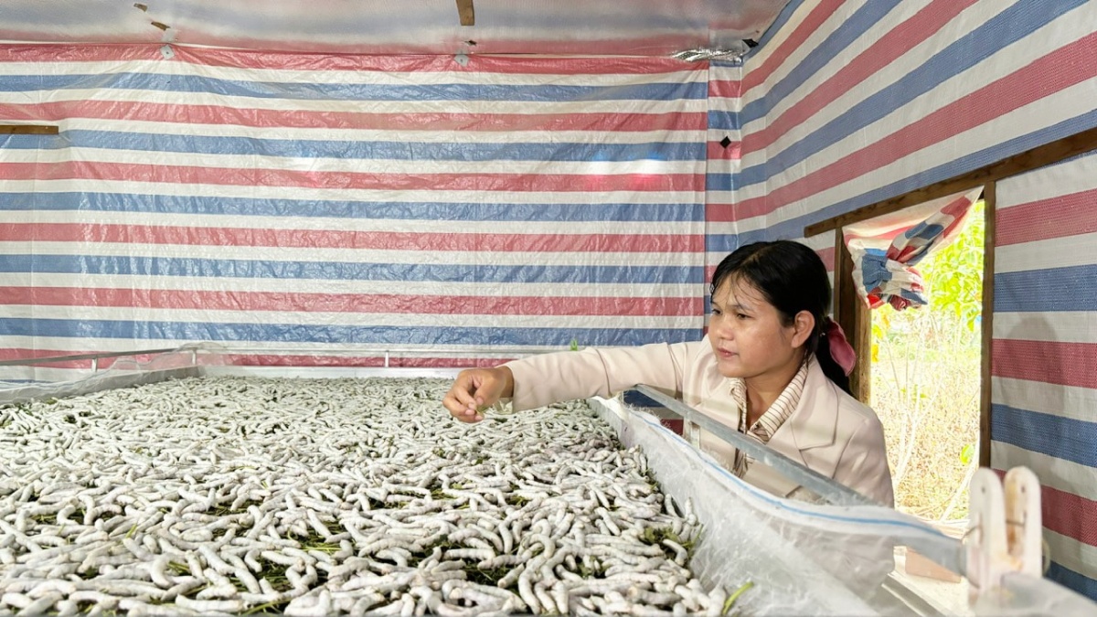 Mạch ngầm cao nguyên – Bài 3: Gác lại nỗi niềm riêng, chung sức cùng buôn làng