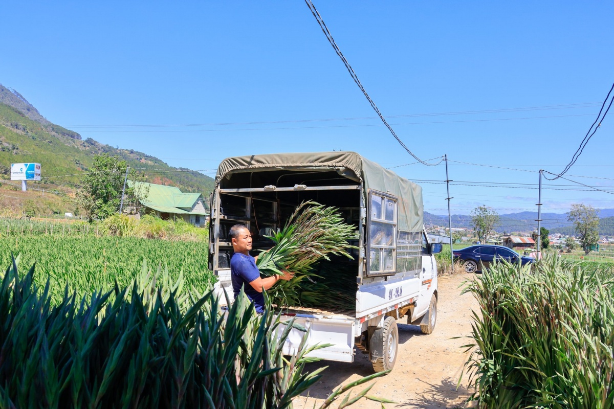 Mạch ngầm cao nguyên – Bài 4: Khơi nguồn “Cuộc cách mạng” từ lòng dân