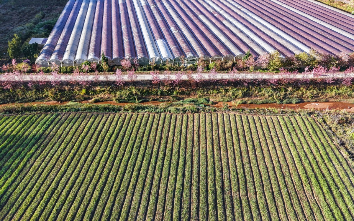 Mạch ngầm cao nguyên – Bài 4: Khơi nguồn “Cuộc cách mạng” từ lòng dân