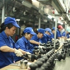 Thông tin về đóng bảo hiểm thất nghiệp hàng năm cho từng người lao động