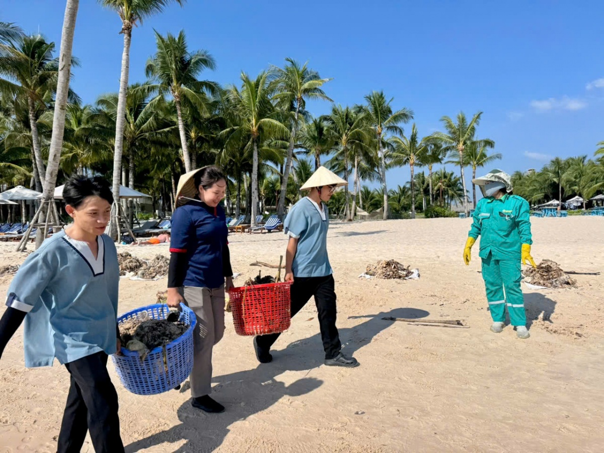 Hàng trăm người dân và du khách cùng làm sạch bãi biển Phú Quốc mùa gió chướng