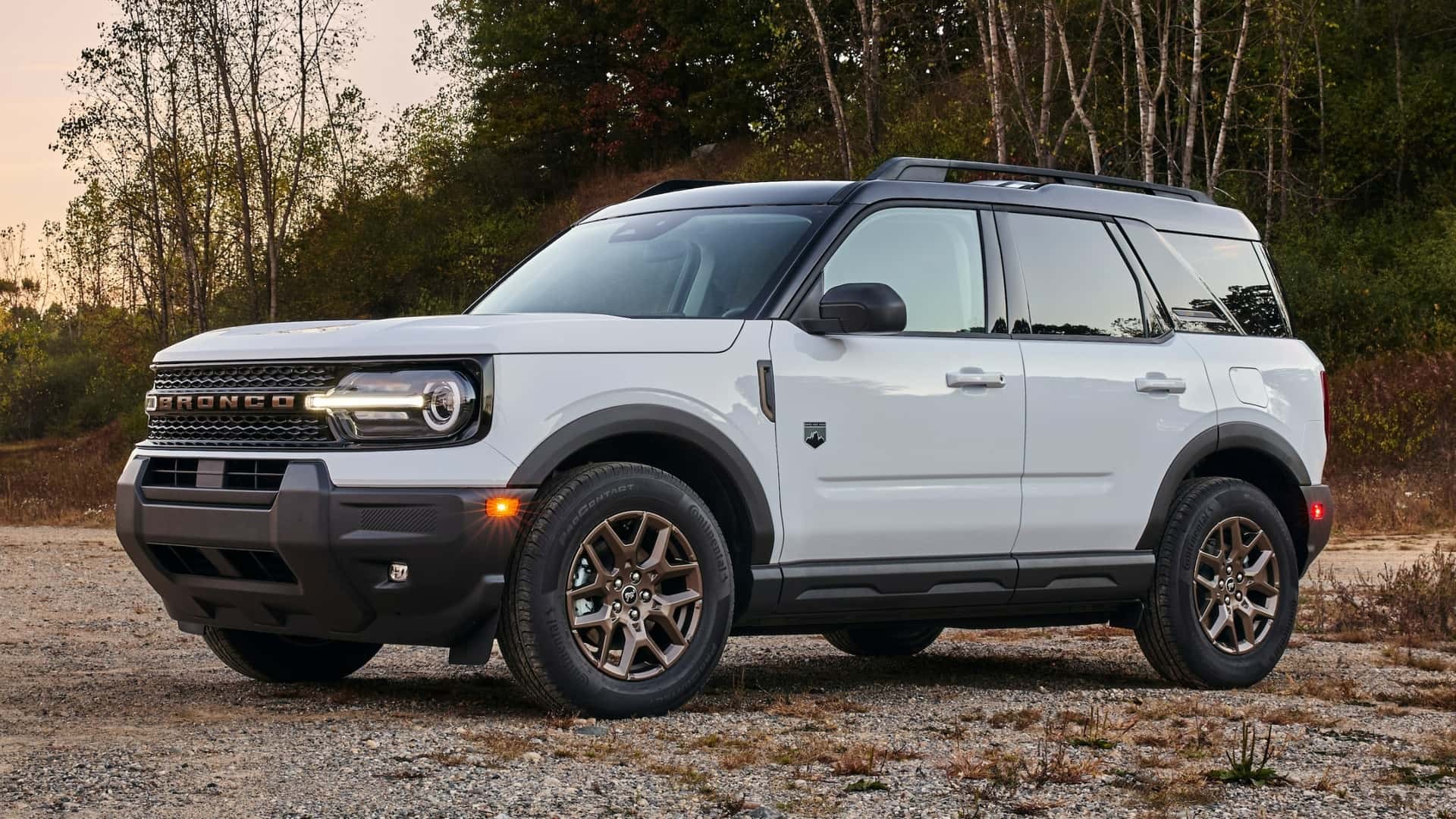 Từ xanh đến tím, đây là những màu sắc xe đẹp nhất năm 2025