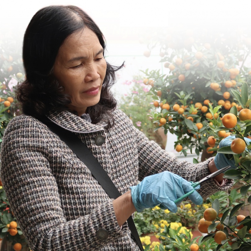 lang quat tu lien mang sac xuan den moi nha