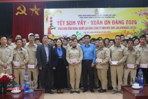 Khi “sự thay đổi” là thước đo của hạnh phúc