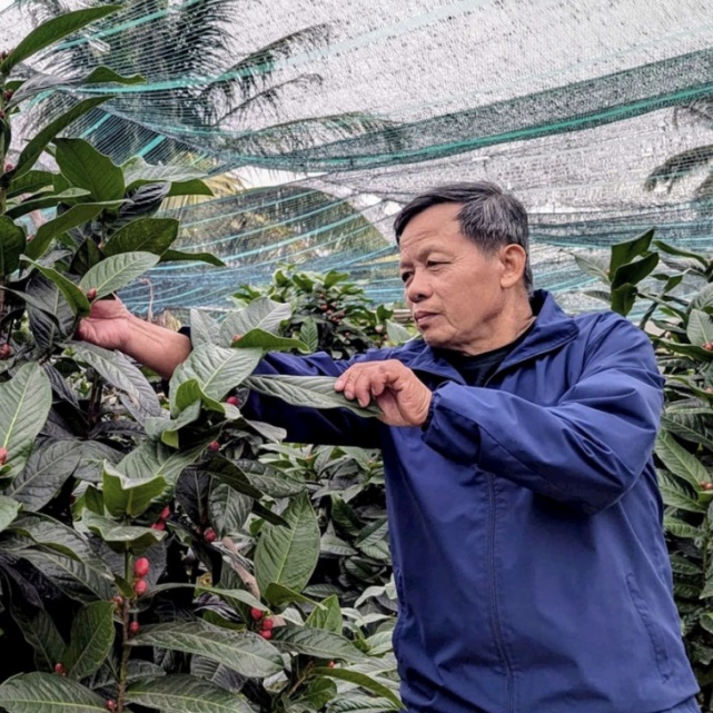 Hoa bừng nở vụ Xuân Đồng Dụ