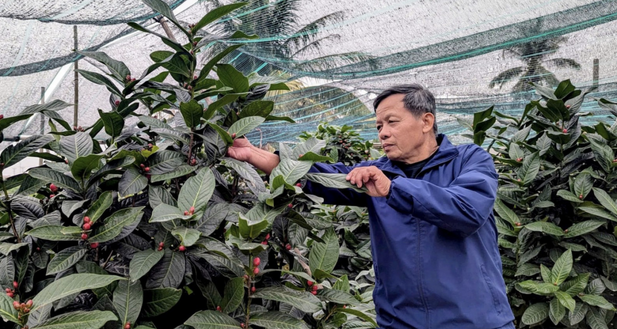 Hoa bừng nở vụ Xuân Đồng Dụ