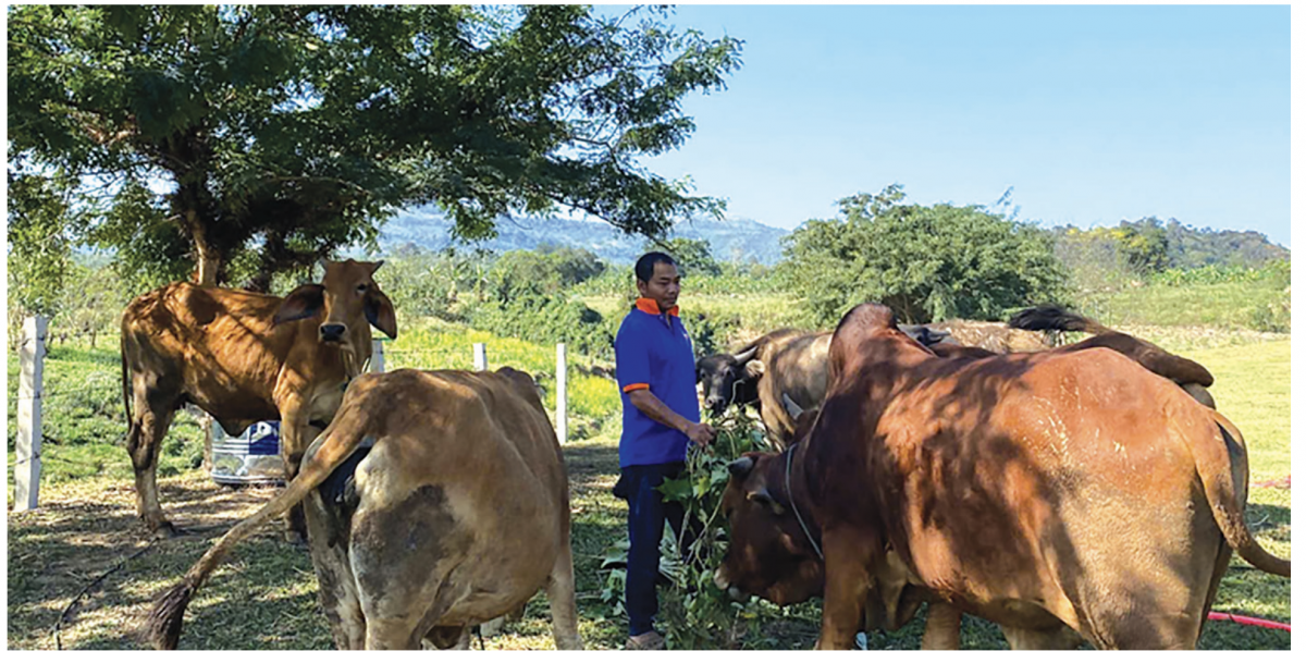 Sắc xuân vùng phên dậu bên dòng Sê Pôn Sắc xuân vùng phên dậu bên dòng Sê Pôn