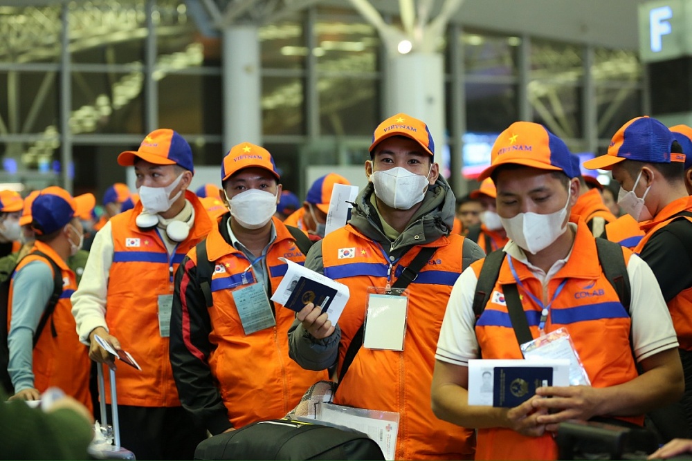 Doanh nghiệp tạm dừng đưa lao động đi làm tại khu vực Trung Đông