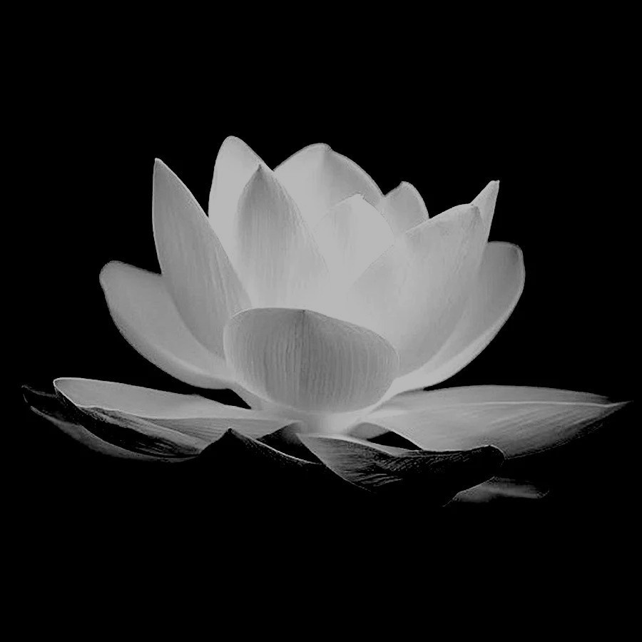 Tin buồn: Nhà báo Đỗ Như Khánh, nguyên Tổng Biên tập Tạp chí Công đoàn từ trần