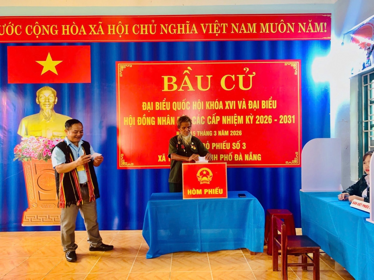 Những chuyến xe buýt từ nóc nhà xuống núi đi bầu cử ở Đà Nẵng