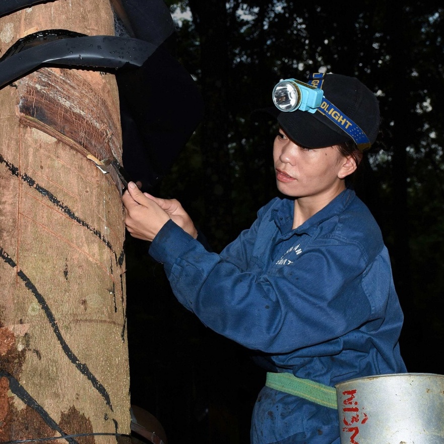 ban tay vang noi dai ngan