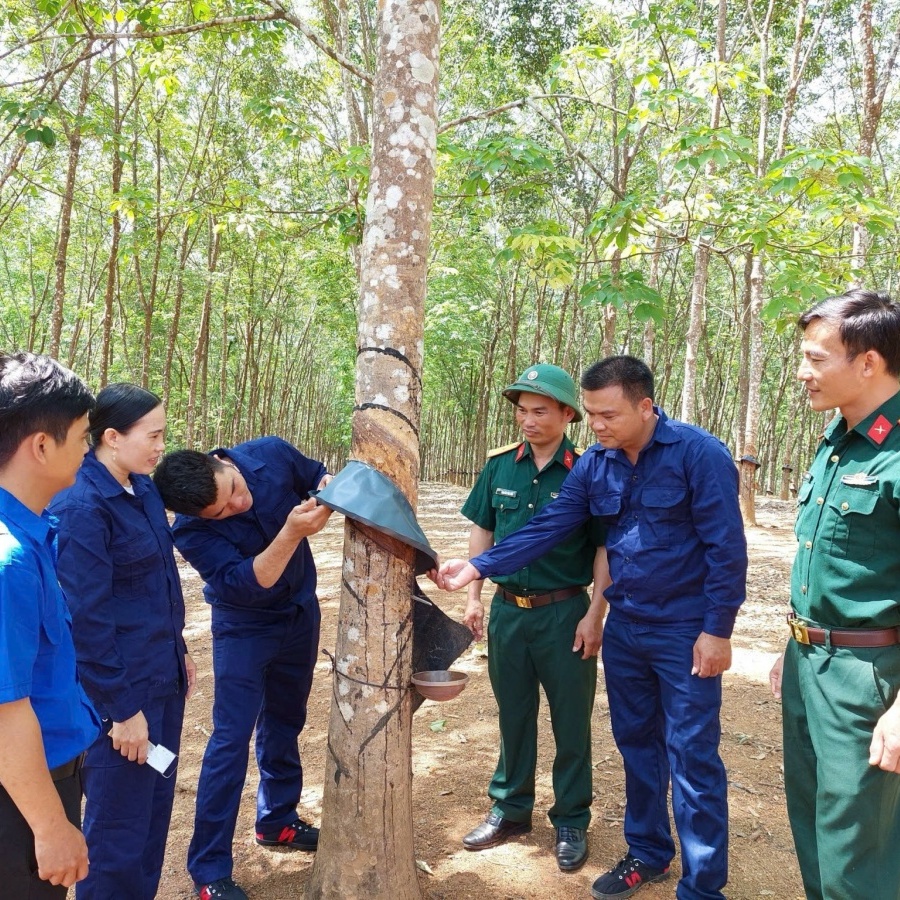 Binh đoàn 15 đưa pháp luật đến với đồng bào