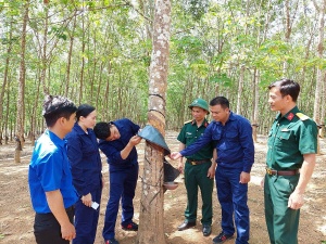 Binh đoàn 15 đưa pháp luật đến với đồng bào
