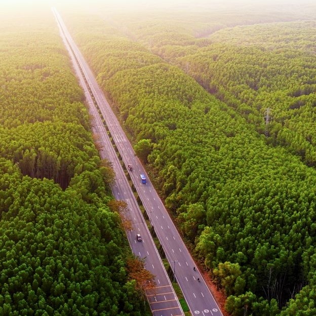 Khám phá cung đường chạy đẹp nhất Việt Nam: băng rừng di sản, xuyên “kỳ quan đô thị biển” tại Cần Giờ