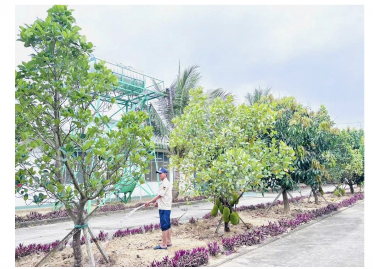 Anh Phan Bốn đang tưới cây trong  khuôn viên nhà máy