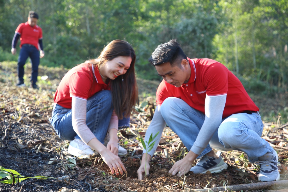 Cùng với đó, nhằm hồi sinh đồi núi trọc, đặc biệt là các cánh rừng bị tàn phá bởi thiên tai, SeABank đã trồng và trao tặng hơn 1 triệu cây xanh tại các tỉnh Nghệ An, Hà Tĩnh, Thanh Hóa, Long An…