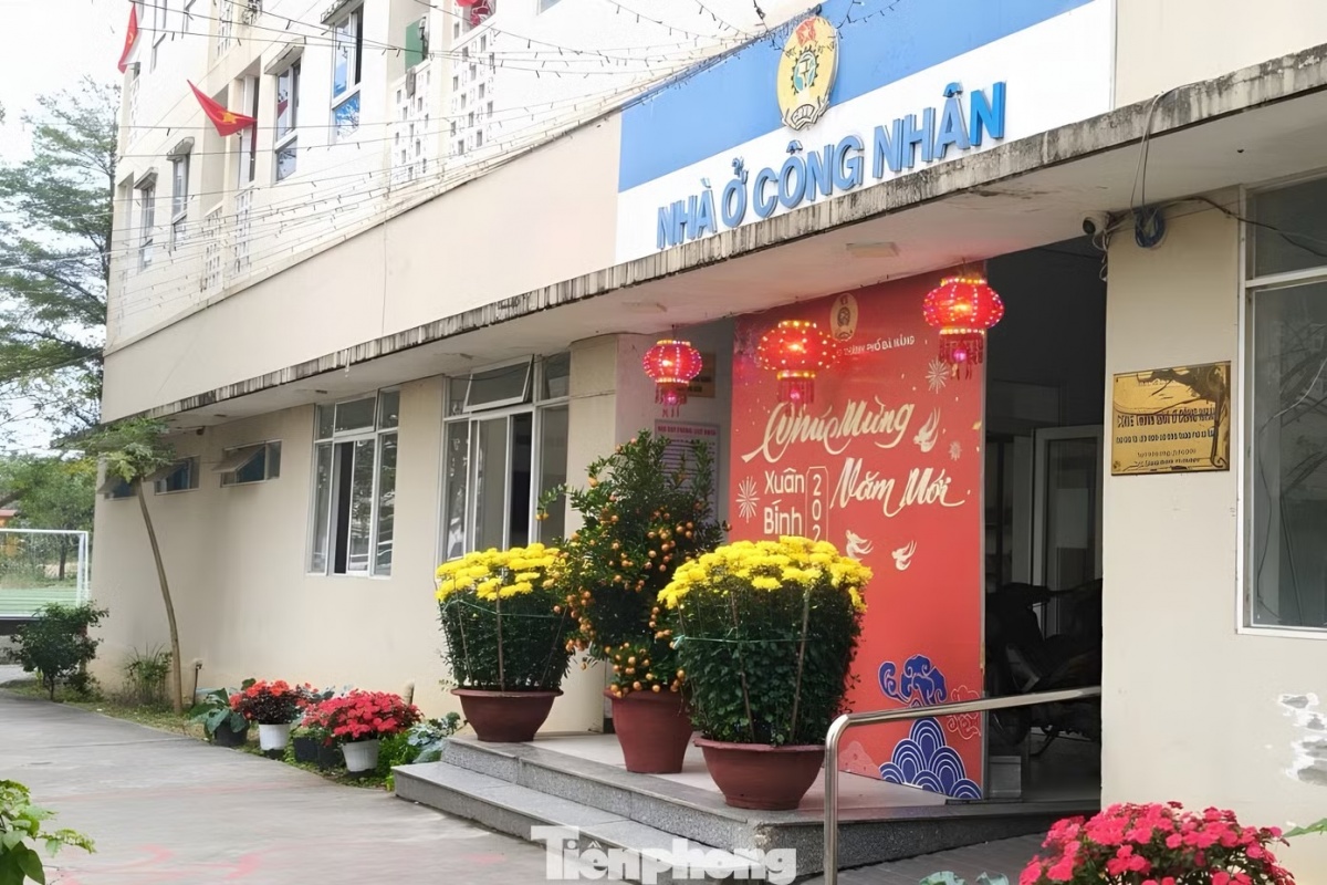 Tết của những công nhân không có chuyến xe hồi hương