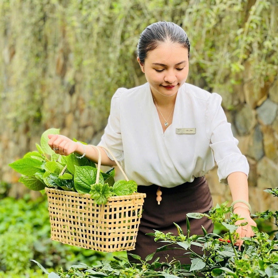 bong hoa trong vuon hoa thi dua cua cong doan phuong o quang ninh