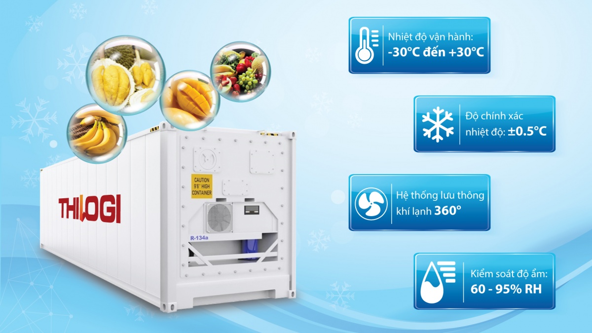 THILOGI đang từng bước phát triển hệ sinh thái logistics lạnh nhằm đáp ứng nhu cầu vận chuyển, bảo quản và xuất khẩu hàng hóa 