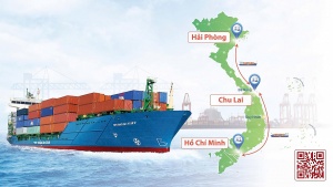 THILOGI tăng tần suất tuyến vận tải biển nội địa