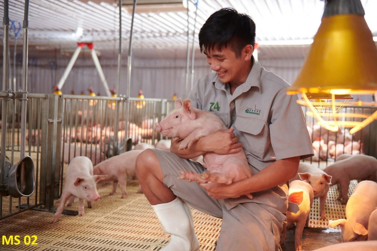 Lan tỏa cuộc thi ảnh tôn vinh đoàn viên, người lao động ở Lâm Đồng