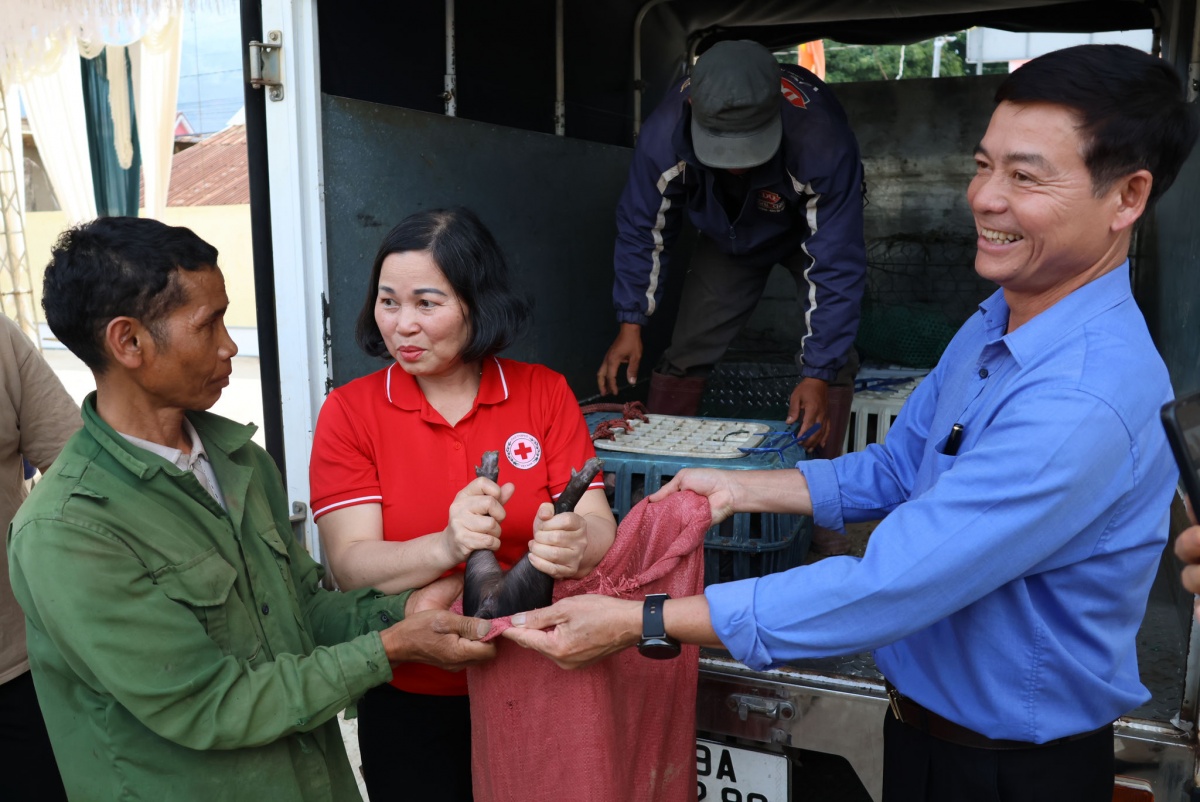 Một Hội Chữ thập đỏ chuyên nghiệp hơn - hiện đại hơn - gần dân hơn