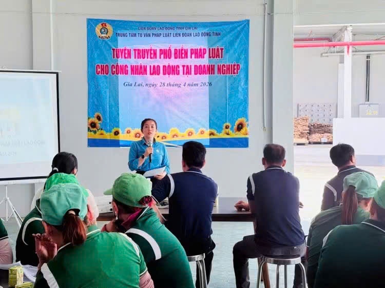 Kiến tạo hệ thống Công đoàn để đồng hành cùng tỉnh Gia Lai mới