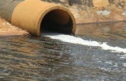 ha noi to chuc thanh tra toan dien cac du an xay dung ven ho dong mo